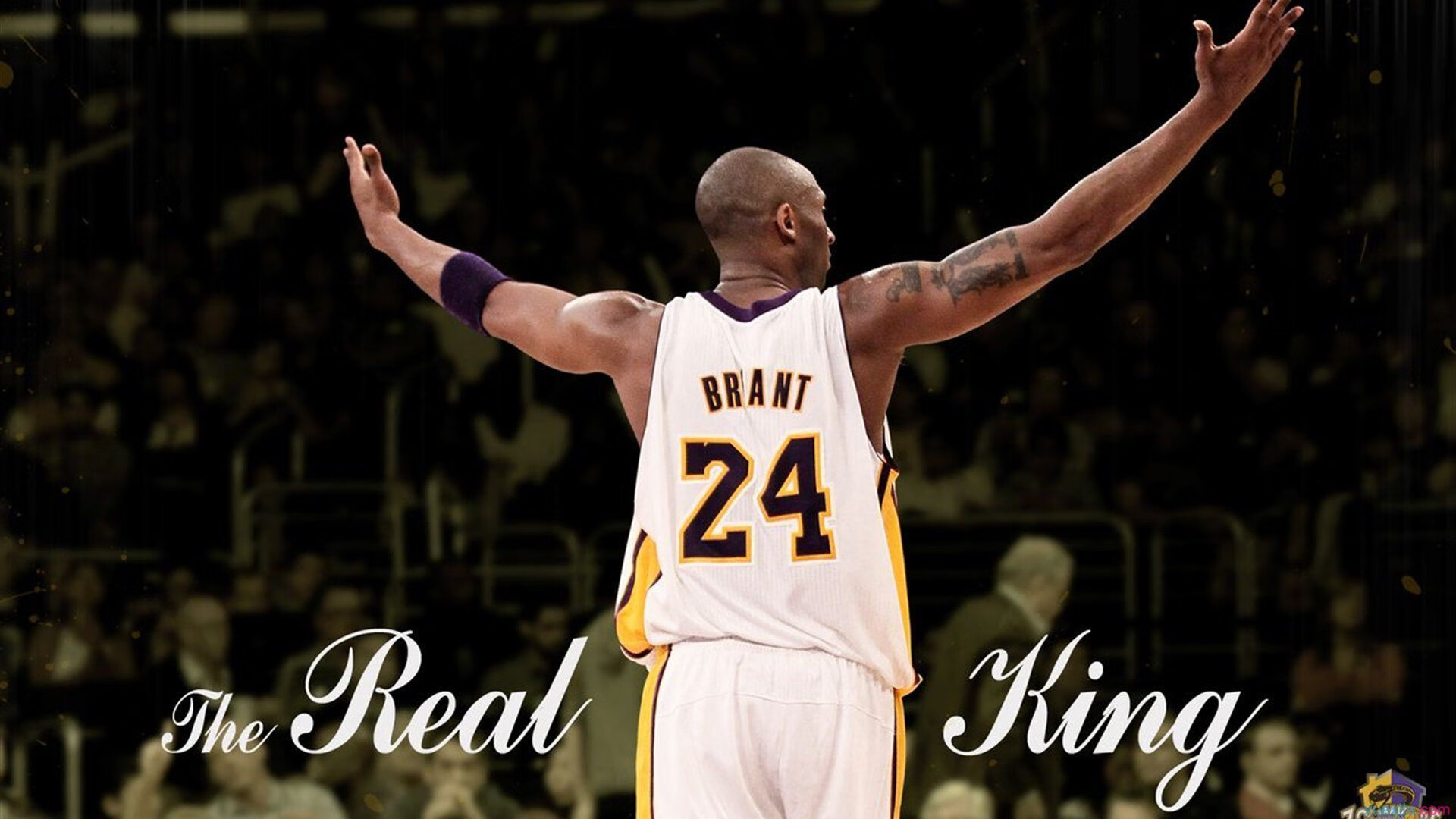 球迷组织与俱乐部合作开展社区服务项目加强互动，社区球队