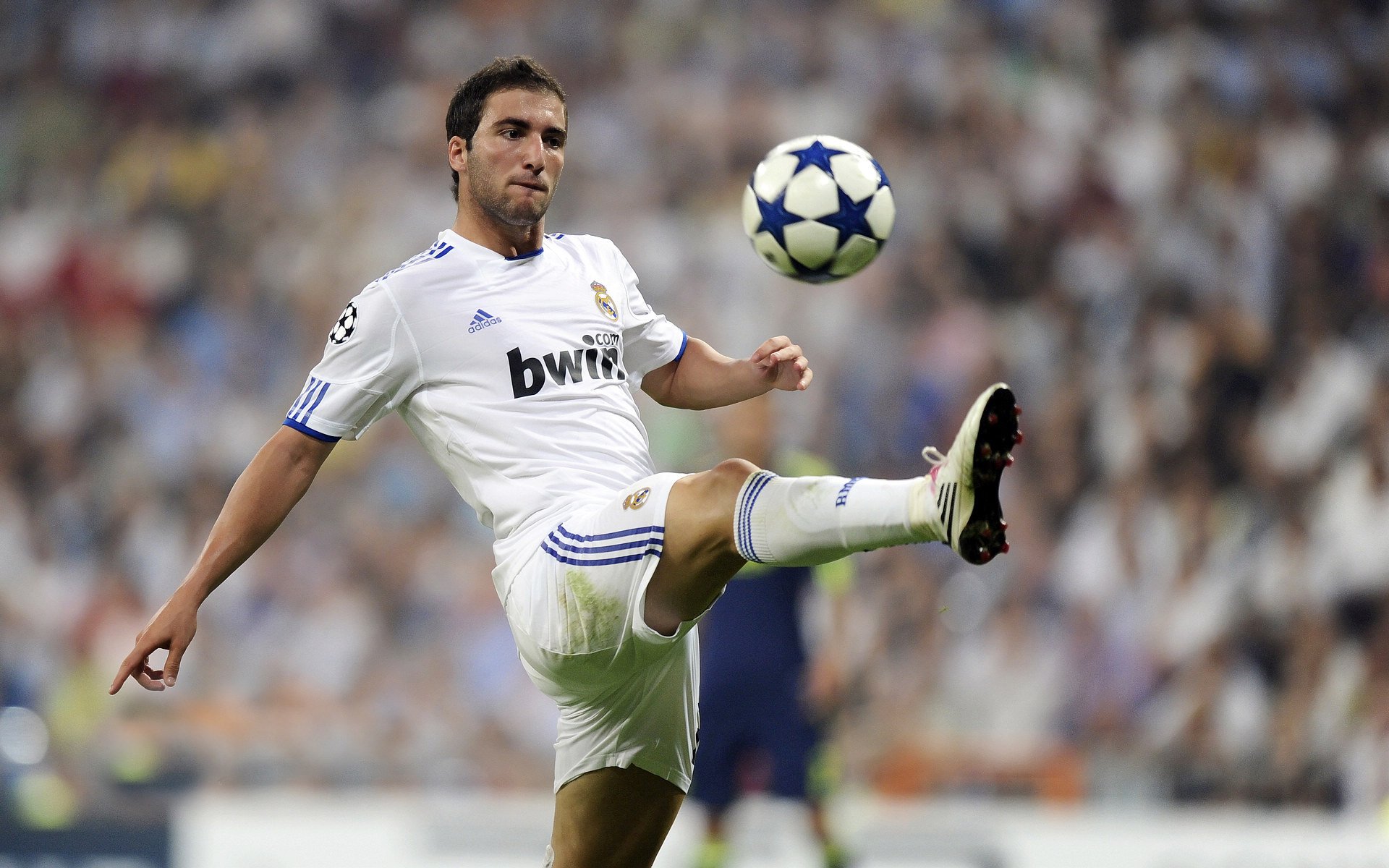 球队赛季目标再次明确，赛季球员